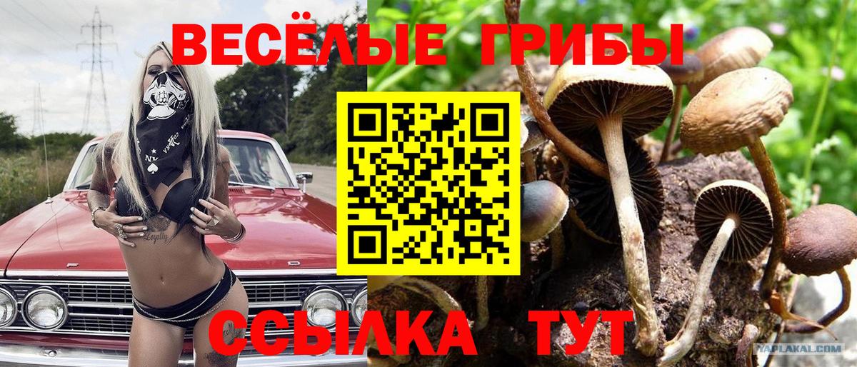 Галлюциногенные грибы GOLDEN TEACHER  Вход с VPN  Елабуга 