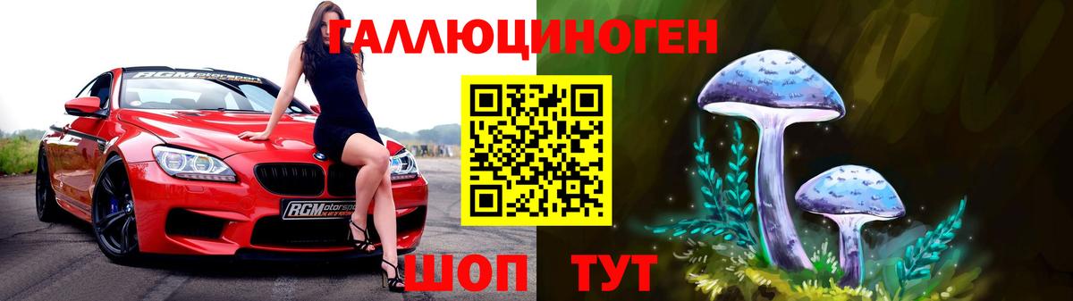 Галлюциногенные грибы мухоморы Елабуга